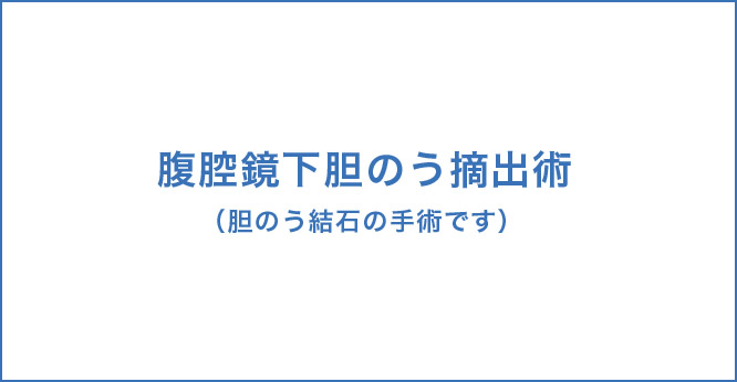 腹腔鏡下胆のう摘出術